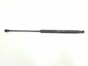 Gasdruckfeder Hinten 51778432 Fiat Grande Punto (199) Schrägheck 1.4 T-Jet 16V (198.A.4000) 2007