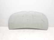 Motorhaube 651224338R Renault L1H1 29t Komfort