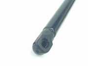 Gasdruckfeder Hinten 10316252 MG ZS SUV 1.5 VTi 16V (15S4C) 2023