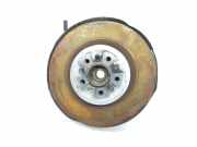 Achsschenkel Links Hinten 33326879101 BMW X5M (E70) SUV 4.4i V8 Turbo 32V (S63-B44A) 2009