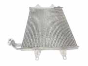 Luft-Kühler 6Q0820411K Skoda Roomster (5J) Großraumlimousine 1.9 TDI (BSW) 2008