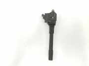 Zündspule 12132439749 BMW X7 SUV xDrive M50i 4.4 V8 32V (N63-B44D) 2013