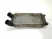 Ladeluftkühler 9800291280 Peugeot Partner Tepee (7A/B/C/D/E/F/G/J/P/S) Großraumlimousine 1.6 BlueHDi 100 (DV6FD(BHY))