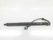 Gasdruckfeder Hinten 7434041 BMW X5 (F15) SUV xDrive 40d 3.0 24V (N57-D30B) 2017