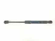Gasdruckfeder Vorne 51237239233 BMW 3 serie Gran Turismo (F34) Schrägheck 320d 2.0 16V (N47-D20C) 2014