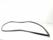 Türgummis 6231260100B0 Toyota Land Cruiser (J12) Hardtop Geländewagen 3.0 D-4D 16V (1KDFTV) 2006