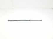 Gasdruckfedern Set Hinten 51248402405 BMW X5 (E53) SUV 3.0d 24V (M57N-D30(306D2)) 2005