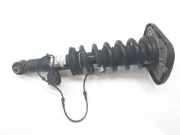 Stoßdämpfer Links Hinten 37106869023 BMW X5 (G05) SUV xDrive 30d 3.0 24V (B57-D30A)