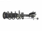 Stoßdämpfer Links Vorne 543029774R Nissan NV 400 Ch.Cab/Pick-up 2.3 dCi 125 16V (M9T-870(Euro 5)) 2015