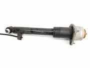 Stoßdämpfer Links Hinten 37126794547 BMW X6 (E71/E72) SUV xDrive40d 3.0 24V (N57-D30B)