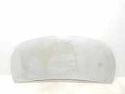 Motorhaube 651224338R Renault L1H1 29t Komfort