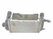 Ladeluftkühler 2163154 Ford EcoSport (JK8) SUV 1.0 EcoBoost 12V 125 (M1JU) 2019