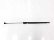 Gasdruckfeder Hinten 51248232873 BMW 3 serie Touring (E46/3) Kombi 330i 24V (M54-B30(306S3)) 2001