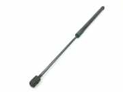 Gasdruckfeder Vorne T4A1162 Jaguar F-Pace SUV 2.0 Turbo 16V AWD (PT204) 2018