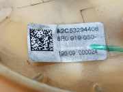 Kraftstoffpumpe 8R0919050 Audi Q5 (8RB) SUV 3.0 TDI V6 24V Quattro (CCWB)
