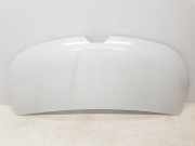 Motorhaube 651224338R Renault L1H1 29t Komfort