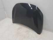 Motorhaube 651006924R Renault SIN DEFINIR SIN DEFINIR