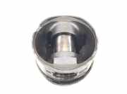 Kolben 11252247502 BMW 3 serie Touring (E46/3) Kombi 320d 16V (M47-D20(204D1)) 1999