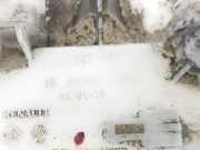 Vorf?rderpumpe 172027392R Renault Trafic Passenger (1JL/2JL/3JL/4JL) Bus 1.6 dCi 125 Twin Turbo (R9M-452) 2018