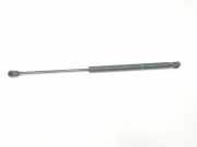 Gasdruckfedern Set Hinten 8731H8 Citroën CITROEN 1.1 (60 CV) 2005