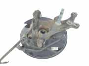Achsschenkel Halter Rechts Hinten 4230442070 Toyota RAV4 (A5) Geländewagen 2.5 Hybrid 16V AWD (A25AFXS)