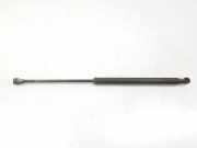 Gasdruckfedern Set Hinten 51778432 Fiat 1.2 (69 CV) 2012