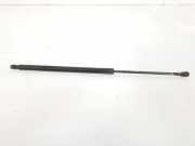 Gasdruckfedern Set Hinten A6399800164 Mercedes-Benz MERCEDES KOMBI 2.1 CDI (163 CV) 2011