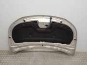 Motorhaube 9819324980 DS DS 7 SUV 1.6 16V E-Tense 225 (EP6FADTXHPD(DGZ)) EP6FADTXHPD(DGZ)