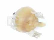 Ausgleichbehälter 9678125880 Citroën C4 Picasso (3D/3E) Großraumlimousine 1.2 12V PureTech 130 (EB2DTS(HNY)) 2016