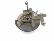 Achsschenkel Halter Links Hinten 4230542070 Toyota RAV4 (A4) Geländewagen 2.0 D-4D 16V 4x2 (1AD-FTV(Euro 4))