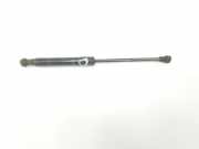 Gasdruckfeder Set Vorne 654706643R Renault Trafic Passenger (1JL/2JL/3JL/4JL) Bus 1.6 dCi 145 Twin Turbo (R9M-452) 2016
