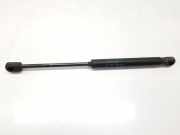 Gasdruckfedern Set Hinten 8731K4 Peugeot 407 (6D) Limousine 2.0 HDiF 16V (DW10BTED4(RHR)) 2005
