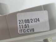 Sonnenblende Links 964011382R Renault Trafic (1FL/2FL/3FL/4FL) Van 2.0 dCi 16V 170 (M9R-717)
