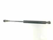Gasdruckfeder Set Vorne 51238402551 BMW X5 (E53) SUV 3.0d 24V (M57N-D30(306D2)) 2004