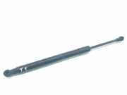 Gasdruckfedern Set Hinten 51247129194 BMW 3 serie (E92) Coupé 320d 16V (N47-D20A) 2008