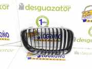Grill Gitter Links 51137166439 BMW 1 serie (E81) Schrägheck 3-drs 118d 16V (N47-D20A) 2007