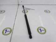 Gasdruckfeder Hinten 8U0827552A Audi Q3 (8UB/8UG) SUV 2.0 16V TFSI 170 Quattro (CCZC) 2012