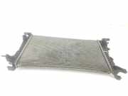 Radiator 214100068R Renault 1.5 dCi D FAP (106 CV) 2012