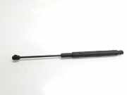 Gasdruckfeder Set Vorne A2059800064 Mercedes-Benz C (W205) Limousine C-220 2.2 CDI BlueTEC, C-220 d 16V (OM651.921)