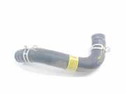 Leitung 25415G4100 Hyundai i30 (PDEB5/PDEBB/PDEBD/PDEBE) Schrägheck 1.5 DPi 16V (G4LG) 2022