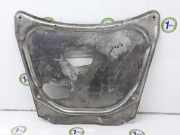 Motor Unterfahrschutz 31101095656 BMW X5 (E53) SUV 3.0d 24V (M57N-D30(306D2)) 2004