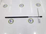 Gasdruckfeder Hinten 689600F011 Toyota Corolla Verso (R10/11) Großraumlimousine 2.0 D-4D 16V (1CD-FTV) 2005