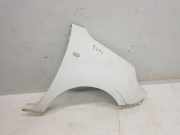 Kotflügel Rechts Vorne 631002210R Renault II FKW0 Profesional