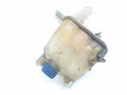 Ausgleichbehälter 1358583080 Fiat Ducato (250) Van 2.3 D 130 Multijet (F1AE3481D) 2013