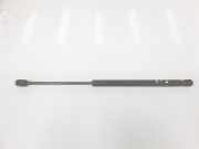 Gasdruckfedern Set Hinten 904525806R Renault Megane II CC (EM) Cabrio 1.9 dCi 120 (F9Q-800) 2004