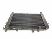 Radiator 2PP124610000 Toyota Picnic (XM10) Großraumlimousine 2.0i 16V GLi,GXi (3SFE)