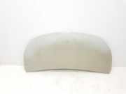 Motorhaube 651224338R Renault L1H1 29t Komfort