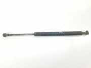 Gasdruckfedern Set Hinten 51248254281 BMW 3 serie (E46/2) Coupé 330 Cd 24V (M57N-D30(306D2)) 2004