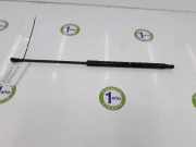 Gasdruckfeder Hinten 68950F4051 Toyota C-HR (X1,X5) SUV 1.8 16V Hybrid (2ZRFXE) 2019