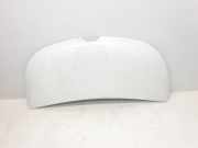 Motorhaube 651224338R Renault L1H1 29t Komfort